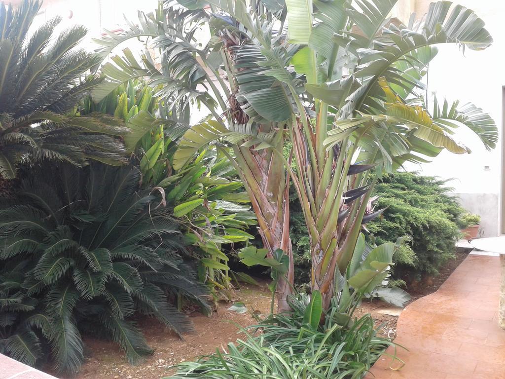 La Mimosa Case Vacanze مارسالا المظهر الخارجي الصورة